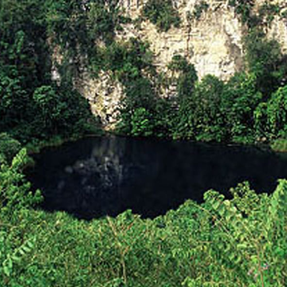 Explorar el Cenote del Cocodrilo Dorado